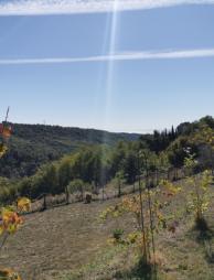 TERRAIN ET MAISON RARE À VENDRE SUR LA COMMUNE DE VENCE 06140 TERRAIN ET MAISON RARE À VENDRE SUR LA COMMUNE DE VENCE 06140