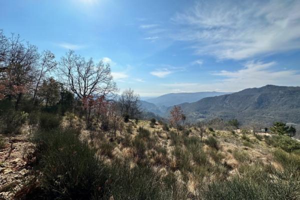 REVEST LES ROCHES (06100) | 1000 - 2600 m² | 395 000 € | Maison de 90 m² neuve à vendre