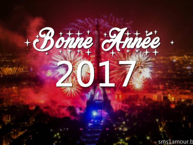 Bonne année 2017