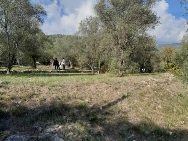 Grasse (06130) | 950 m² | 449 000 € | Maison 4 pièces neuve à vendre