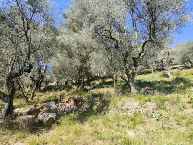 SAINT MARTIN DU VAR MAISON A ETAGE DE 110 M2 SUR UN TERRAIN DE 1129 M2