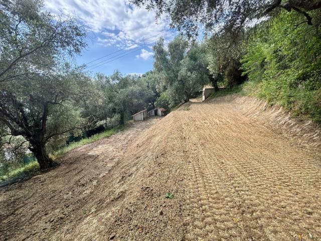CONTES MAISON DE 100 M2 SUR UN TERRAIN DE 2385 M2