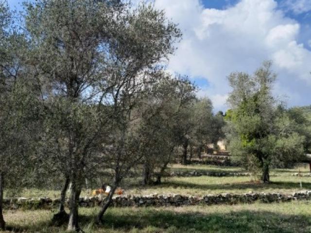 Grasse (06130) | 950 m² | 449 000 € | Maison 4 pièces neuve à vendre